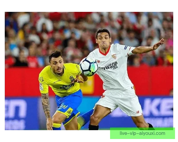 新雨燕直播免费足球直播平台带你畅享全球赛事精彩瞬间巅峰对决